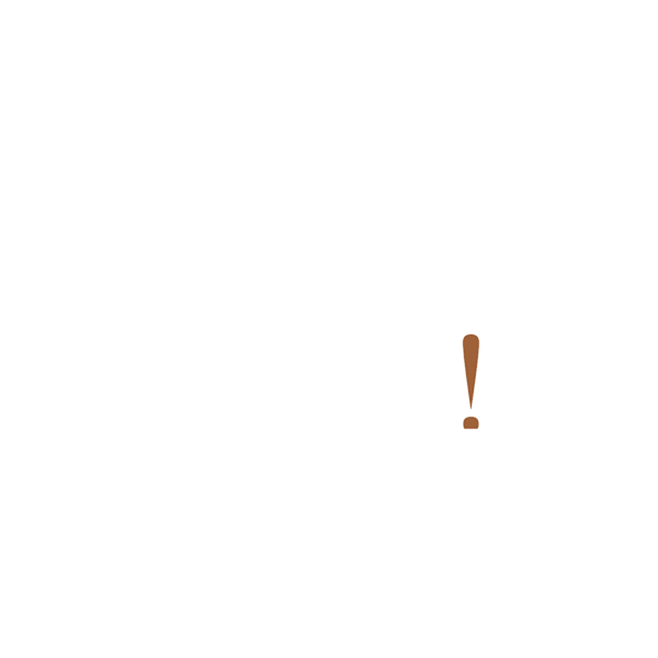 logo brava design