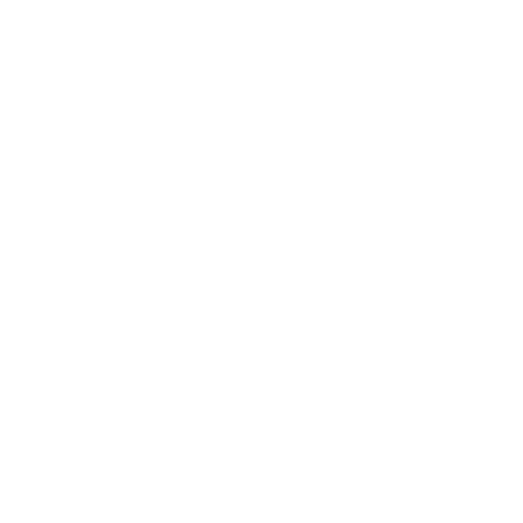 logo wish gran 29