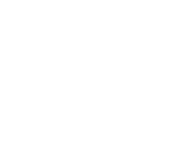 parqville figueira logo