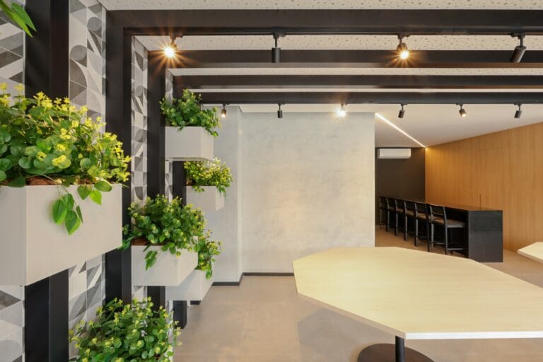 hub compact life festas (3)