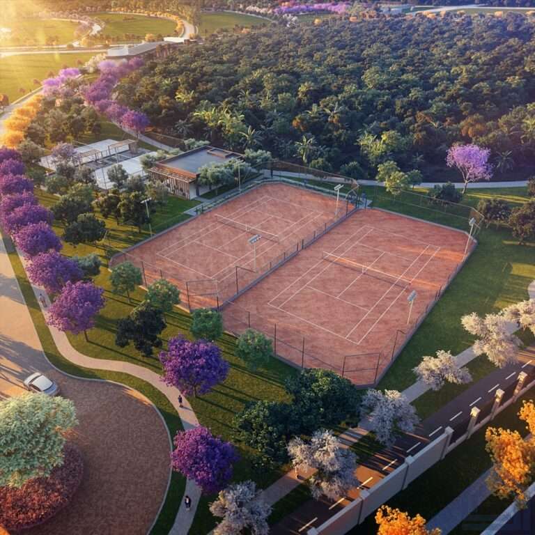 parqville figueira aerea tenis