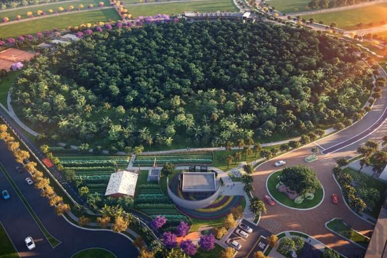 parqville figueira agrofloresta