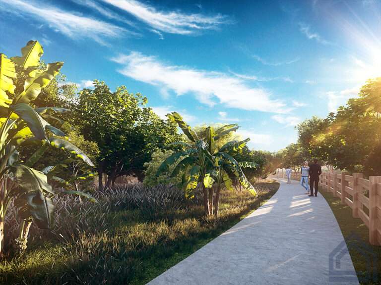 parqville figueira caminho agrofloresta