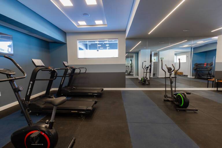 wish 211 academia1 real