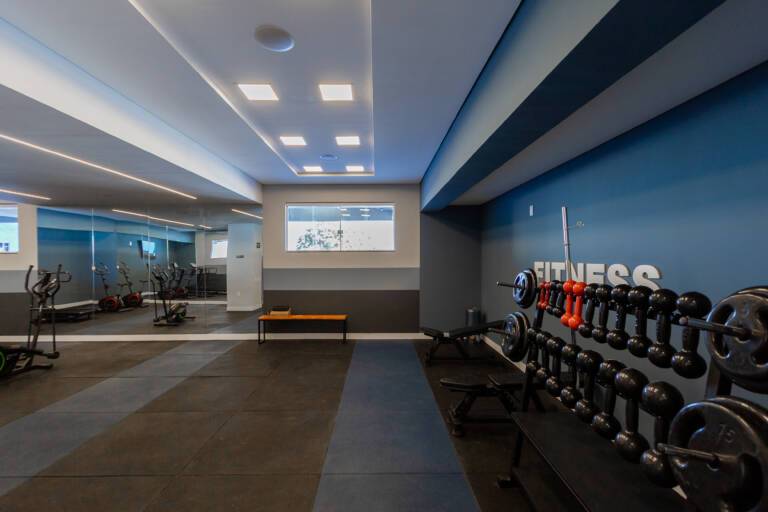 wish 211 academia2 real