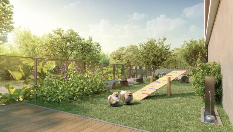 Ázus casa conceito pet place