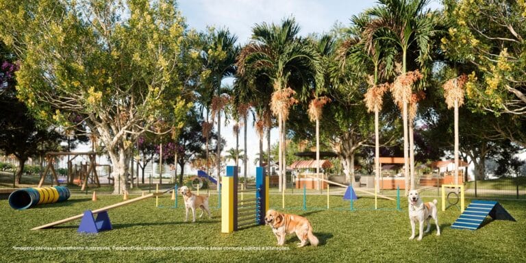 fgr jardins grecia 08 pet place feirinha hr0