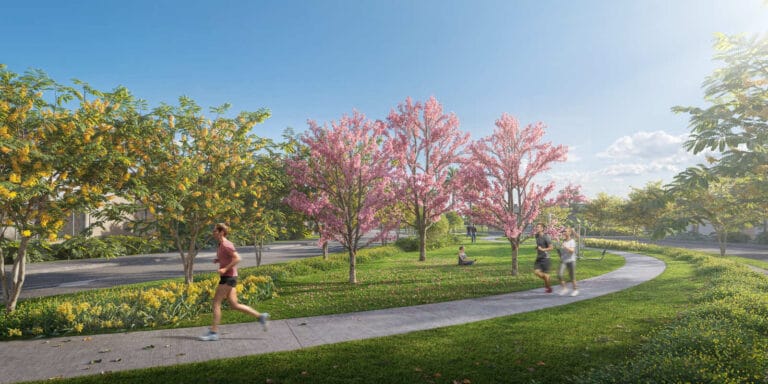 opus terra da grama ginastica