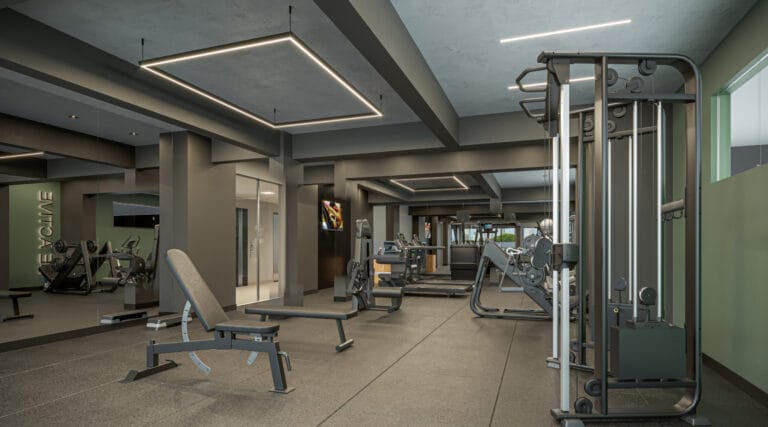 loc serrinha ebm loc gym scaled