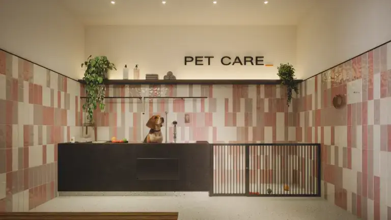 city code areiÃo petcare
