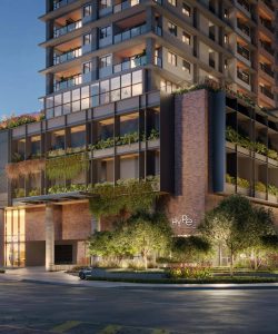 hype vaca brava embasamento