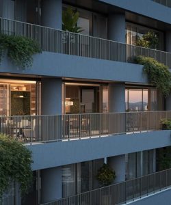 olivier o.m home voo passaro 2